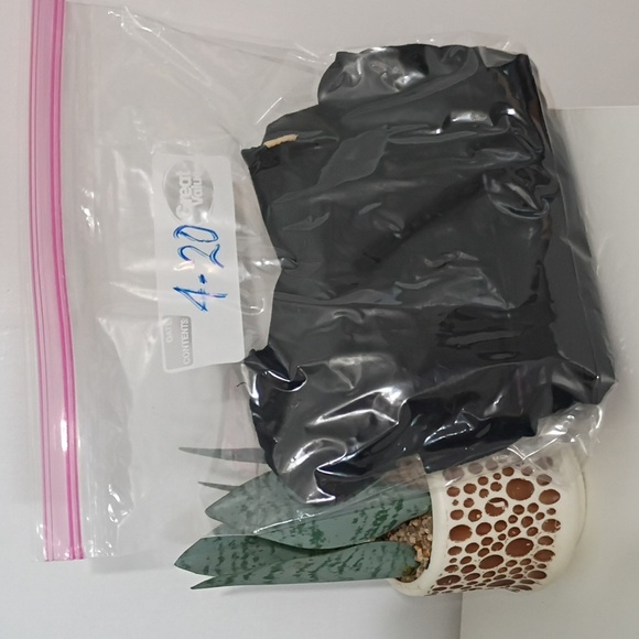 Pinko 1988 Classic Black Women's Top Stretchy Soft Large - Picture 12 of 12